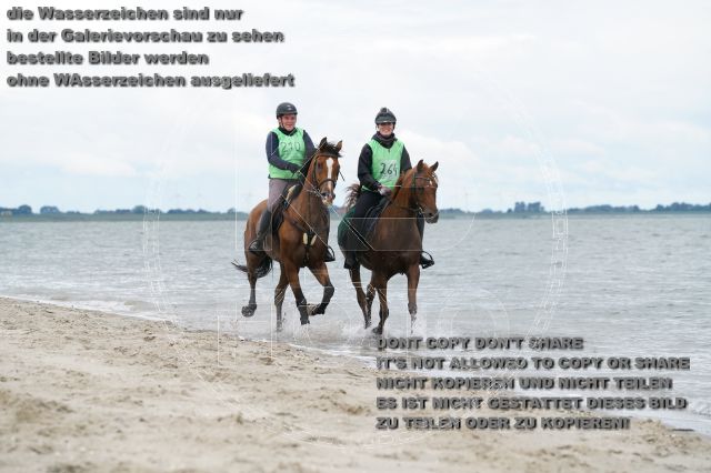 s_K3F04984.JPG